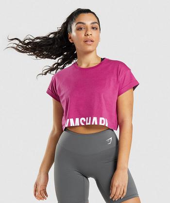 Przycięte Topy Damskie Gymshark Fraction Różowe | PL 2587WNB